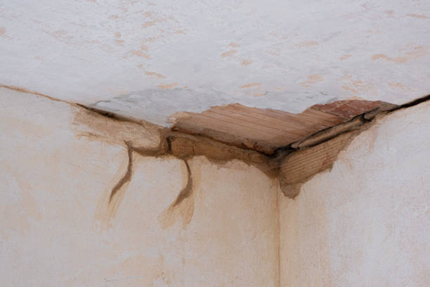 Best Flood damage cleanup  in Tupelo, MS