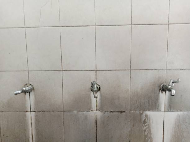 Best Water damage contractors near me  in Tupelo, MS