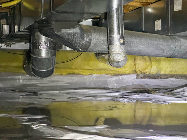 Best Water damage restoration near me  in Tupelo, MS