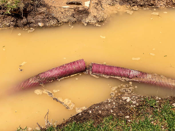 Best Basement water damage restoration  in Tupelo, MS
