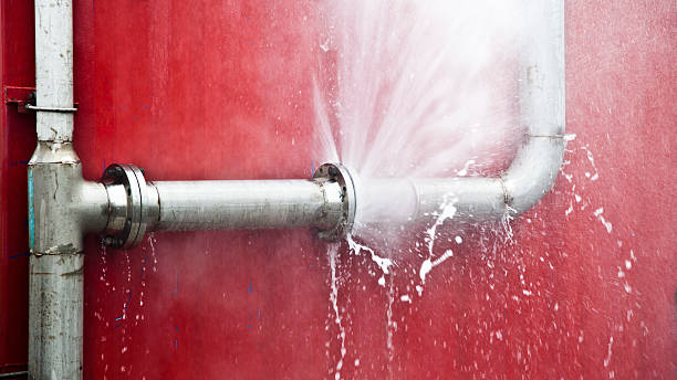 Best Local water damage restoration  in Tupelo, MS